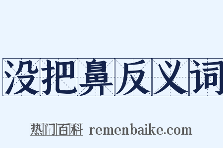 没把鼻反义词是什么意思的图片